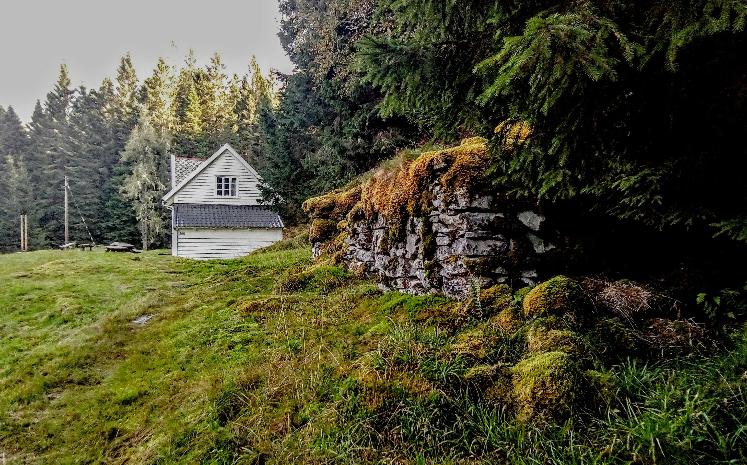 Tirevollshuset sett frå nord med ruin av uthus